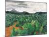 Patch of Prickly Pears on the Way to Tulancingo (Cloudy Sky) 2004-Pedro Diego Alvarado-Mounted Giclee Print