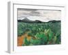 Patch of Prickly Pears on the Way to Tulancingo (Cloudy Sky) 2004-Pedro Diego Alvarado-Framed Giclee Print