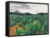 Patch of Prickly Pears on the Way to Tulancingo (Cloudy Sky) 2004-Pedro Diego Alvarado-Framed Stretched Canvas