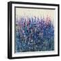 Patch of Wildflowers-Tim O'toole-Framed Giclee Print