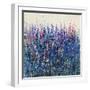 Patch of Wildflowers-Tim O'toole-Framed Giclee Print