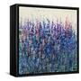 Patch of Wildflowers-Tim O'toole-Framed Stretched Canvas