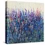 Patch of Wildflowers-Tim O'toole-Stretched Canvas