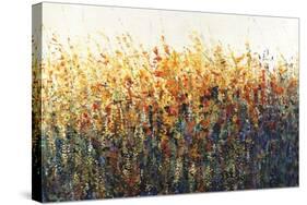 Patches In Bloom II-Tim O'toole-Stretched Canvas