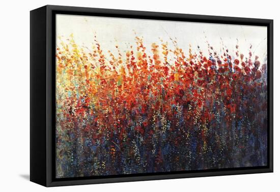 Patches In Bloom III-Tim O'toole-Framed Stretched Canvas