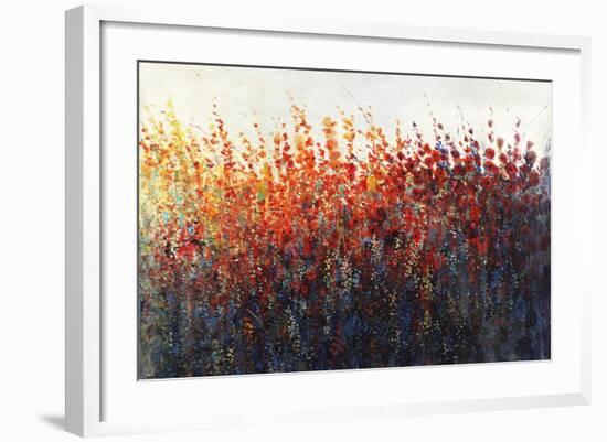 Patches In Bloom III-Tim O'toole-Framed Giclee Print