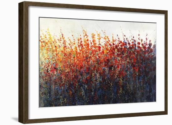 Patches In Bloom III-Tim O'toole-Framed Giclee Print