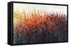 Patches In Bloom III-Tim O'toole-Framed Stretched Canvas