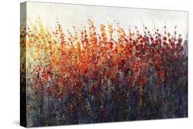 Patches In Bloom III-Tim O'toole-Stretched Canvas