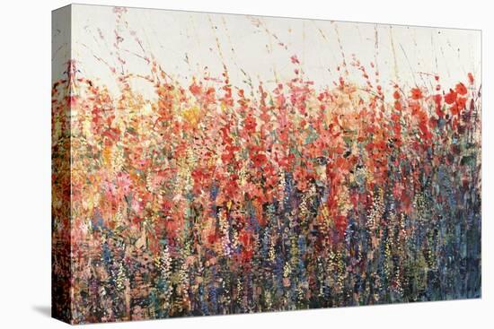 Patches In Bloom IV-Tim O'toole-Stretched Canvas
