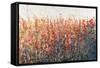 Patches In Bloom IV-Tim O'toole-Framed Stretched Canvas