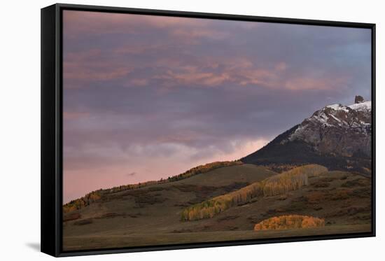 Patches of Yellow Aspens in the Fall under Pink Clouds-James Hager-Framed Stretched Canvas