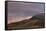 Patches of Yellow Aspens in the Fall under Pink Clouds-James Hager-Framed Stretched Canvas