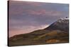 Patches of Yellow Aspens in the Fall under Pink Clouds-James Hager-Stretched Canvas