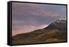 Patches of Yellow Aspens in the Fall under Pink Clouds-James Hager-Framed Stretched Canvas