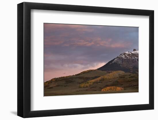 Patches of Yellow Aspens in the Fall under Pink Clouds-James Hager-Framed Photographic Print