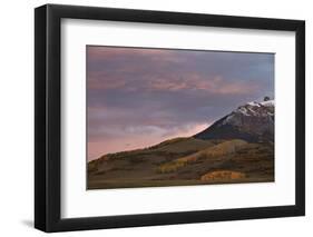 Patches of Yellow Aspens in the Fall under Pink Clouds-James Hager-Framed Photographic Print