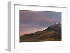 Patches of Yellow Aspens in the Fall under Pink Clouds-James Hager-Framed Photographic Print