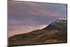 Patches of Yellow Aspens in the Fall under Pink Clouds-James Hager-Mounted Photographic Print