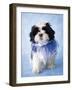 Patches-Rachael Hale-Framed Photographic Print