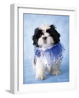 Patches-Rachael Hale-Framed Photographic Print