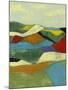 Patchwork Fields I-Jennifer Goldberger-Mounted Art Print