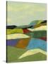 Patchwork Fields II-Jennifer Goldberger-Stretched Canvas