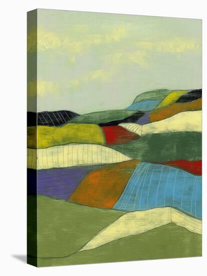 Patchwork Fields II-Jennifer Goldberger-Stretched Canvas