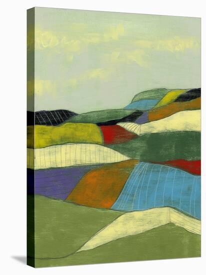 Patchwork Fields II-Jennifer Goldberger-Stretched Canvas