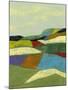 Patchwork Fields II-Jennifer Goldberger-Mounted Art Print