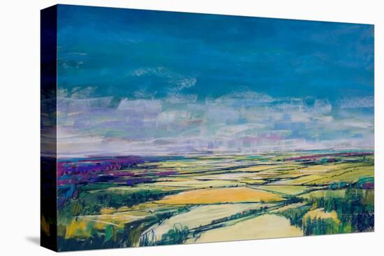 Patchwork Fields IV-null-Stretched Canvas