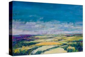 Patchwork Fields IV-null-Stretched Canvas