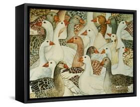 Patchwork Geese-Ditz-Framed Stretched Canvas