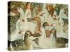 Patchwork Geese-Ditz-Stretched Canvas