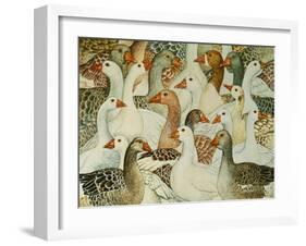 Patchwork Geese-Ditz-Framed Giclee Print