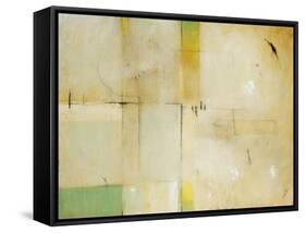 Patchwork II-Tim O'toole-Framed Stretched Canvas