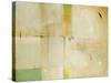 Patchwork II-Tim O'toole-Stretched Canvas