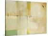 Patchwork II-Tim O'toole-Stretched Canvas