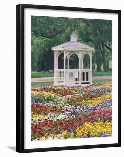 Patchwork of Pansies and Gazebo, Columbus, Ohio, USA-Adam Jones-Framed Premium Photographic Print