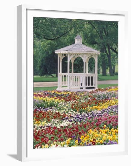 Patchwork of Pansies and Gazebo, Columbus, Ohio, USA-Adam Jones-Framed Premium Photographic Print