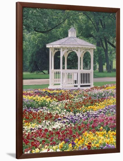 Patchwork of Pansies and Gazebo, Columbus, Ohio, USA-Adam Jones-Framed Photographic Print