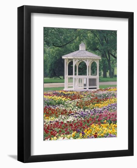 Patchwork of Pansies and Gazebo, Columbus, Ohio, USA-Adam Jones-Framed Photographic Print