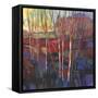 Patchwork Trees I-Tim OToole-Framed Stretched Canvas