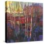 Patchwork Trees I-Tim OToole-Stretched Canvas