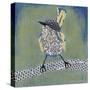 Patchwork Wren I-Grace Popp-Stretched Canvas