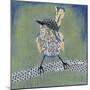 Patchwork Wren I-Grace Popp-Mounted Art Print