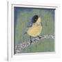 Patchwork Wren II-Grace Popp-Framed Art Print