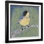 Patchwork Wren II-Grace Popp-Framed Art Print