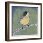 Patchwork Wren II-Grace Popp-Framed Art Print