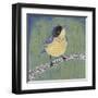 Patchwork Wren II-Grace Popp-Framed Art Print